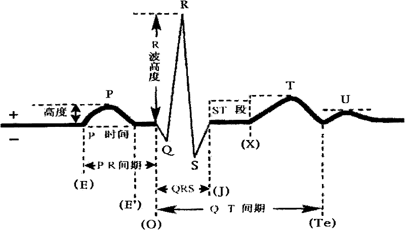 Identification method and identification system using identification method