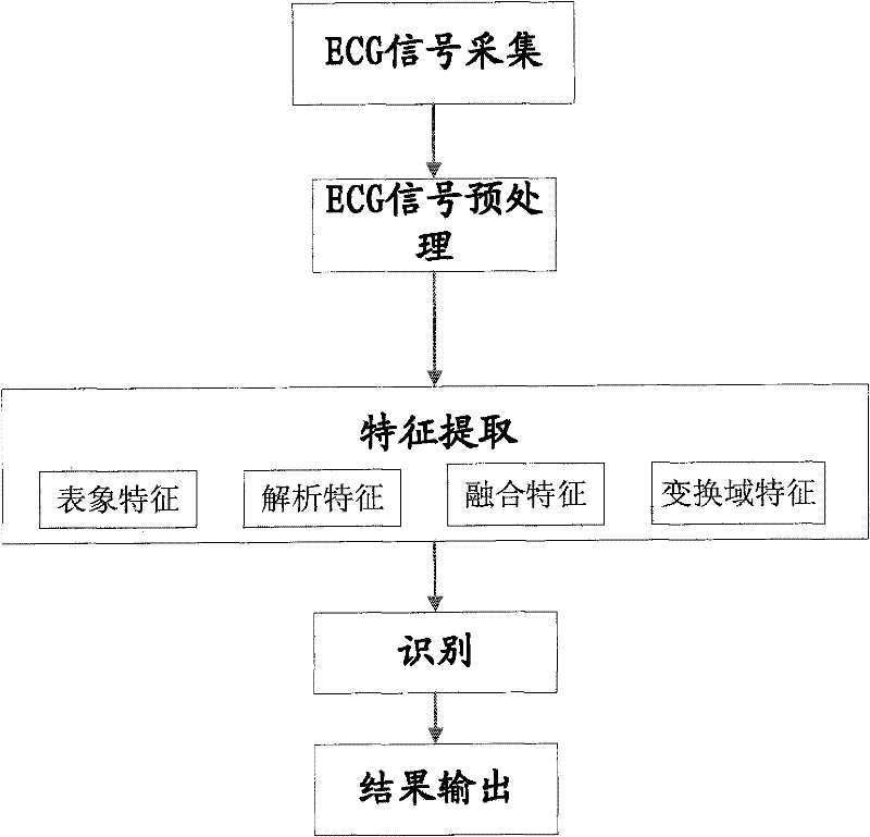 Identification method and identification system using identification method