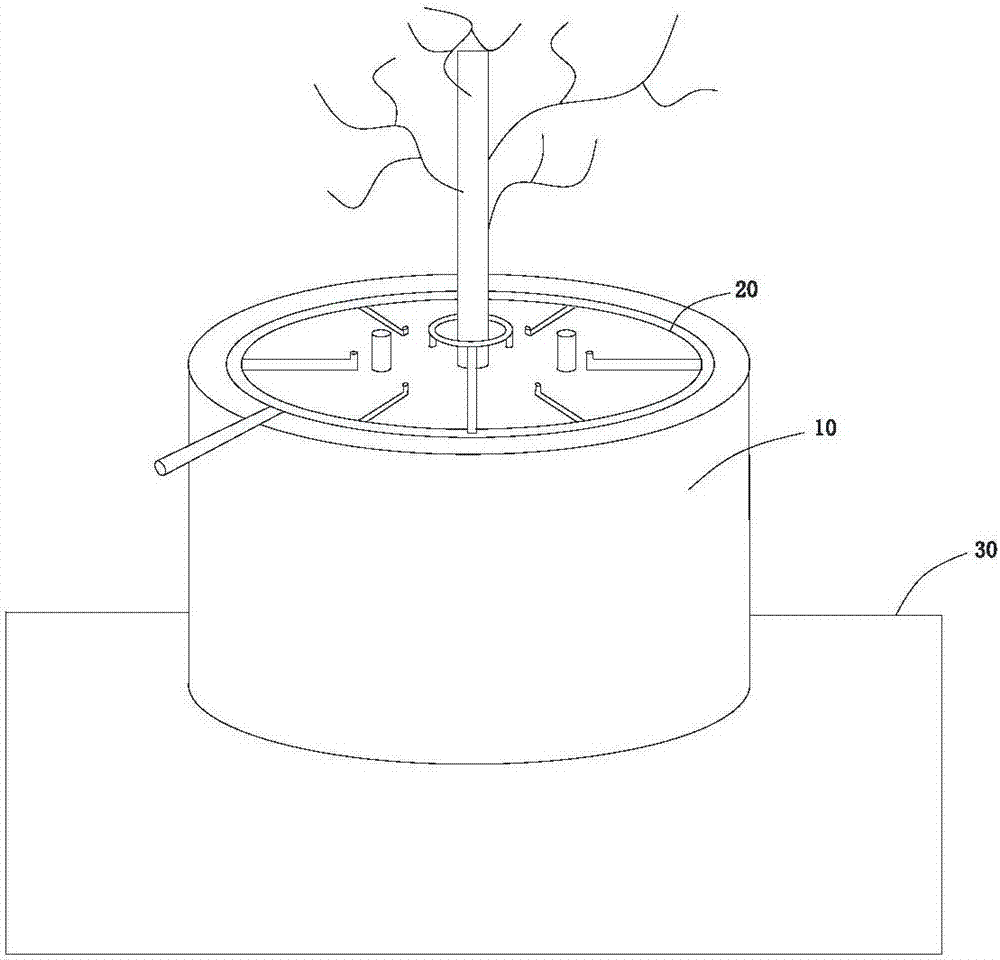 Ancient tree protection method and ancient tree protection system