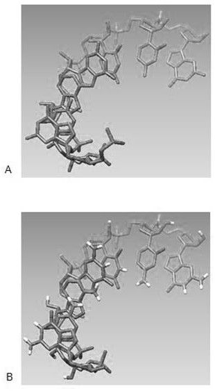 RNA tertiary structure prediction method based on parallel and Monte Carlo strategies