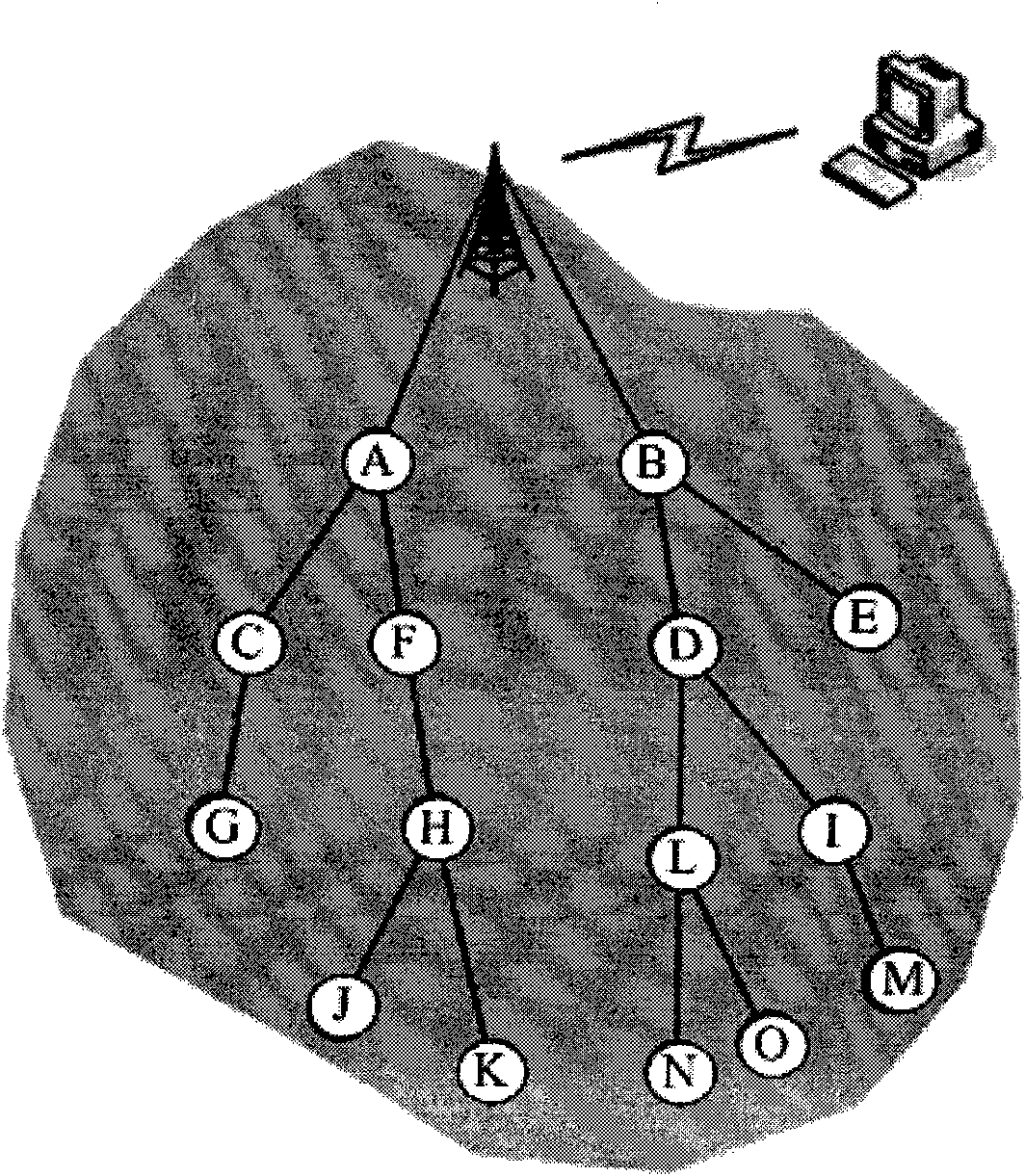 Method for constructing medium-range wireless sensor network used for field information acquisition