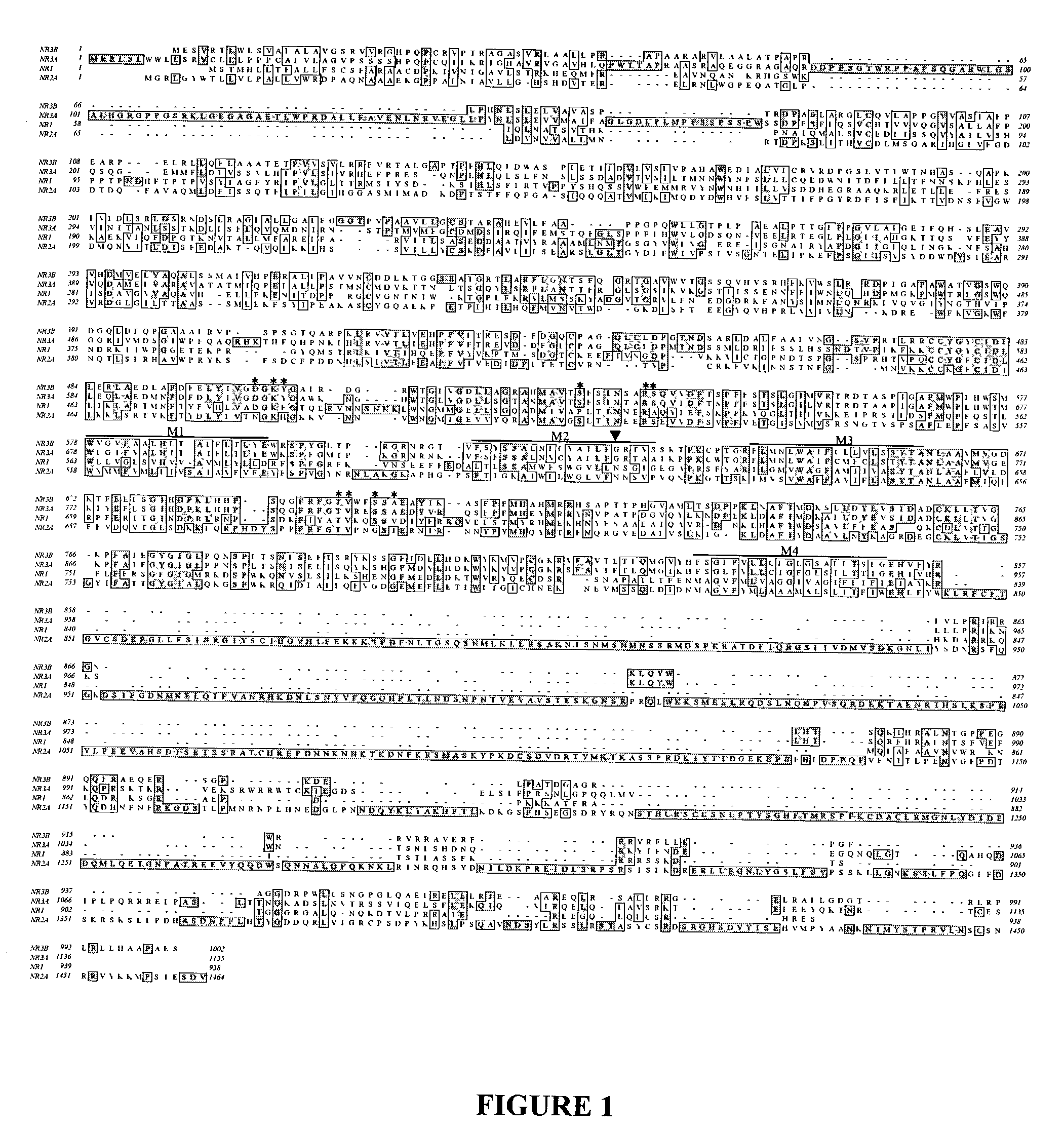 Excitatory glycine receptors and methods