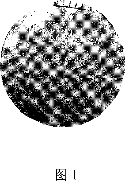 3104Aluminum alloy spectral standard sample and preparation method