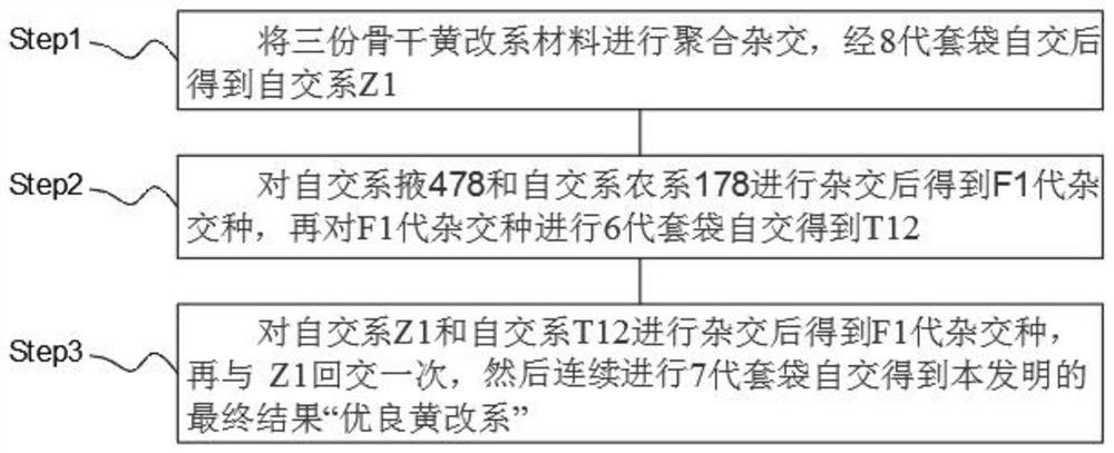 Method for breeding multi-resistance, high-combining ability and excellent yellow modified lines by using compound hybridization method