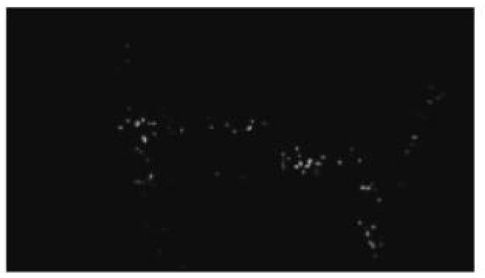 Cross-scene video crowd understanding two-channel network method based on aerial view angle