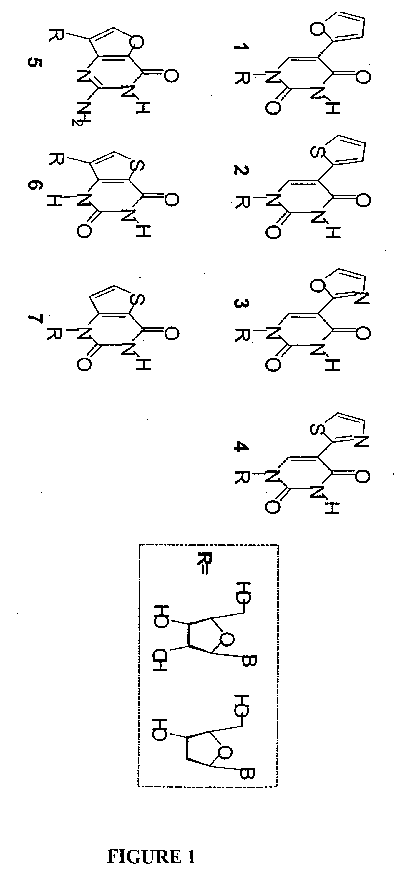 Fluorescent Nucleoside Analogs That Mimic Naturally Occurring Nucleosides