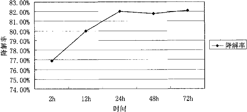 Bacillus subtilis used for degrading aflatoxins