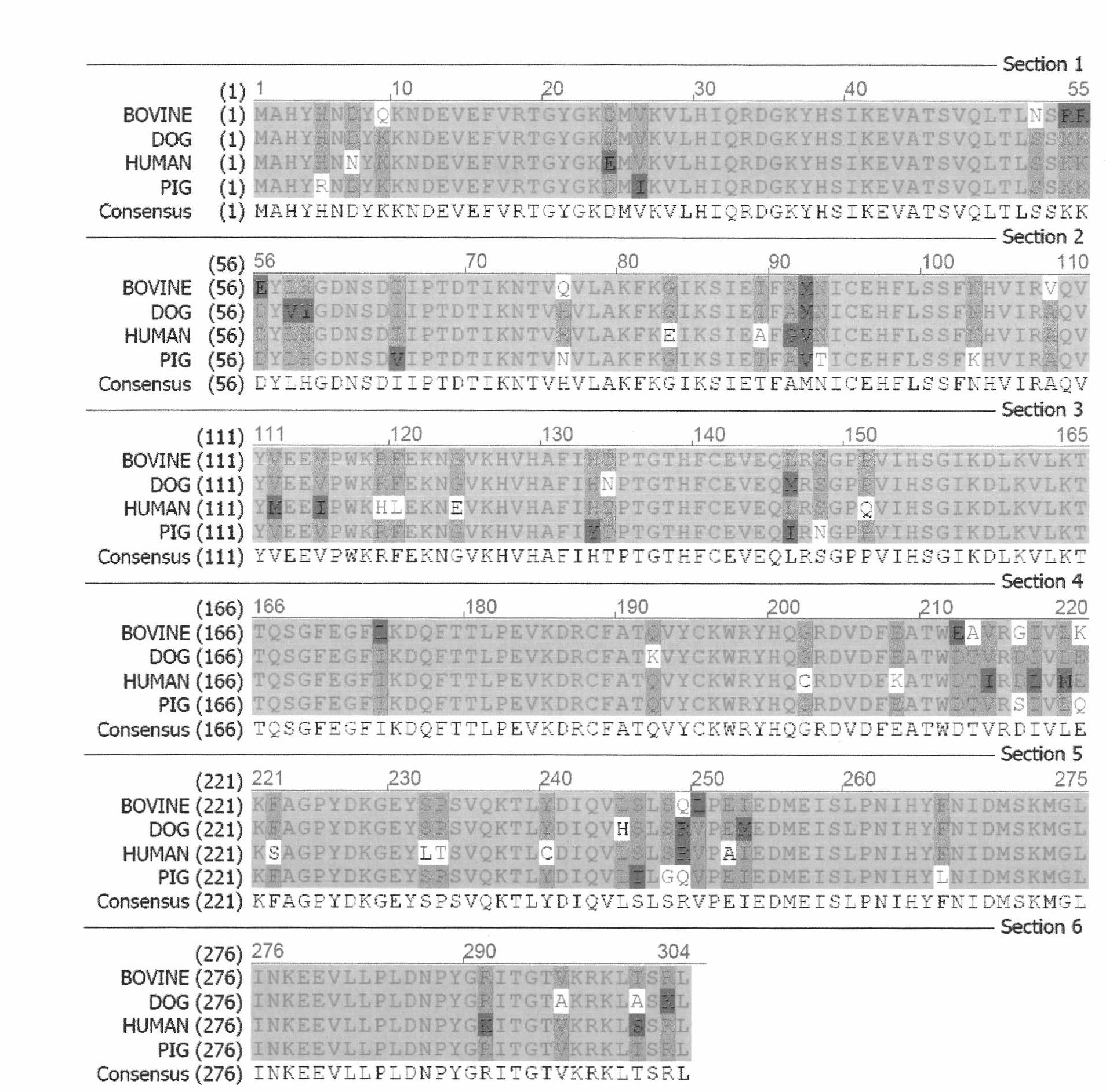 Humanized recombinant uricase and mutant thereof