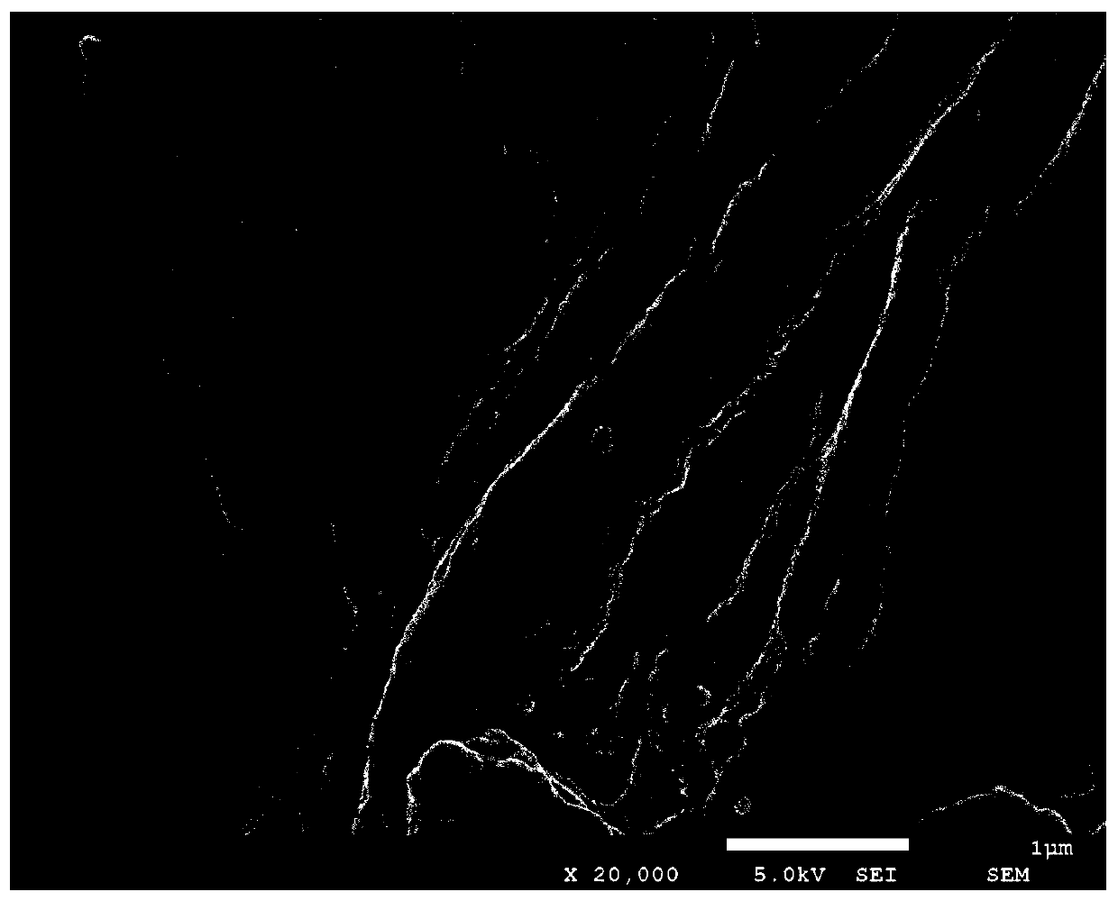 Nano antibacterial hemp fibers and preparation method and application thereof