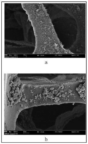 Photothermal sponge, and preparation method and application thereof