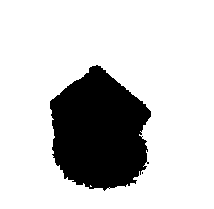 Photothermal sponge, and preparation method and application thereof