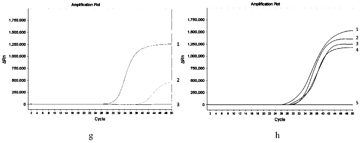 Human SGIP1, SCAND3 and MYO1G gene methylation detection kit