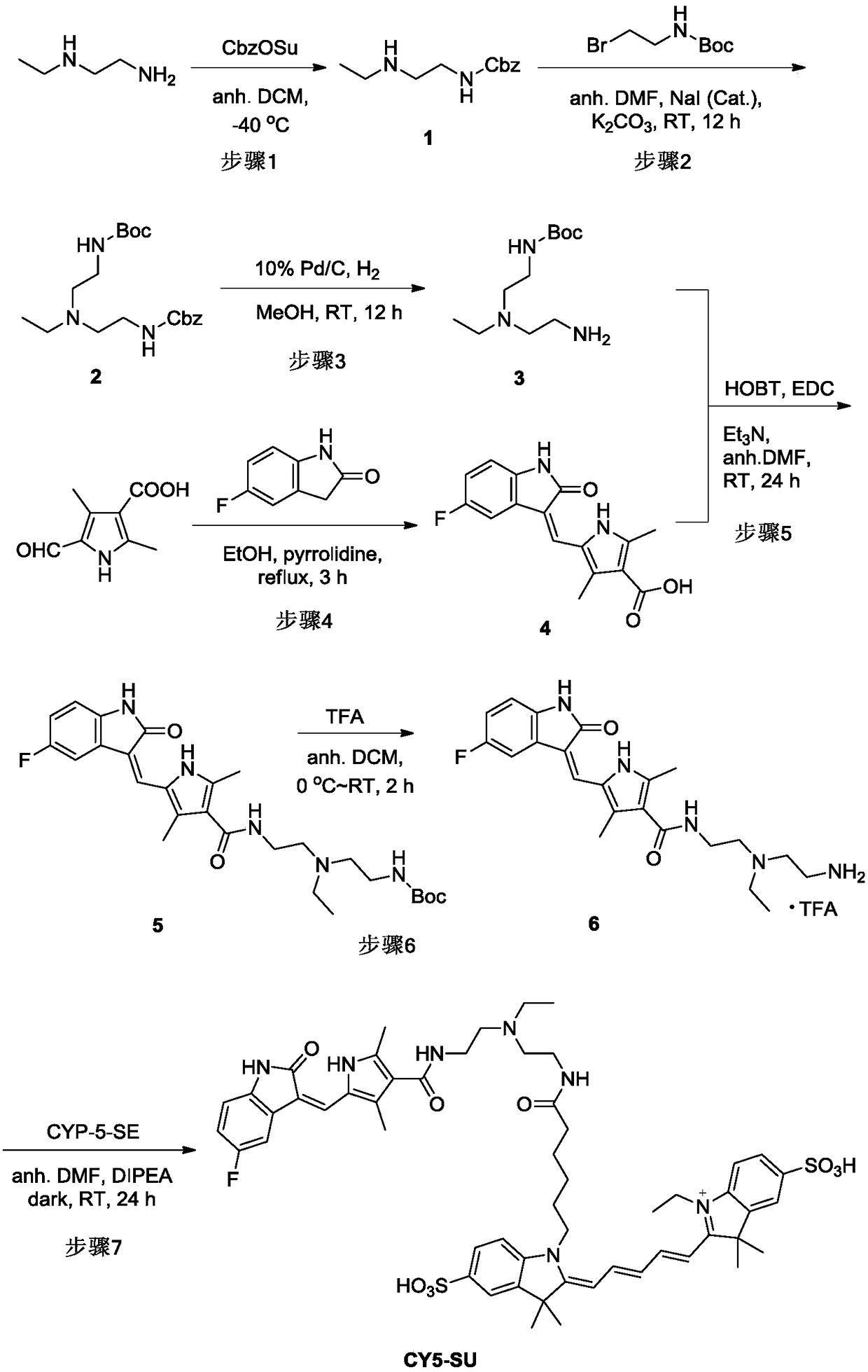 A fluorescently labeled molecular probe targeting ephrinb2 and its preparation method and application