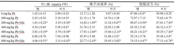 Glutamine inhibits the absorption of Pb in Chinese cabbage and improves the ability to resist Pb pollution