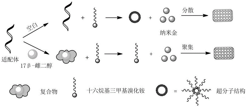 17 beta-estradiol colorimetric detecting method based on nanogold collected by surfactant