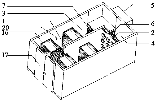 Heat-pump drying room and technology for honeysuckle flowers