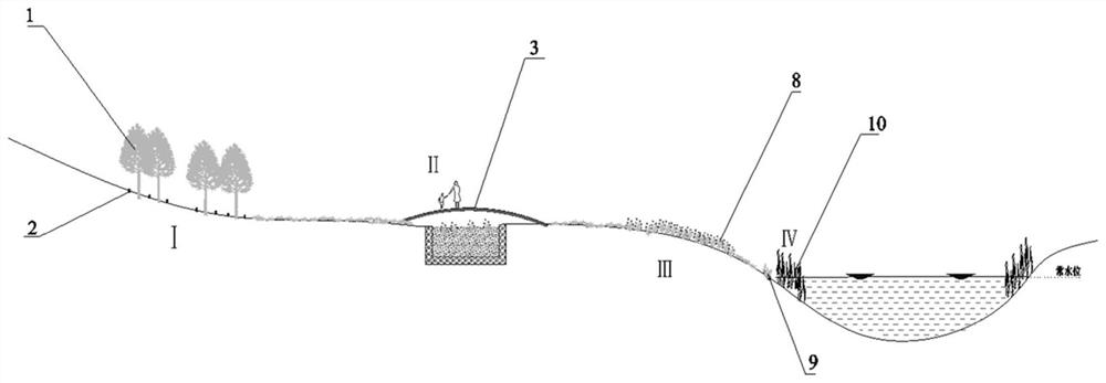 Configuration structure and construction method for lakeside wetland vegetation buffer strand