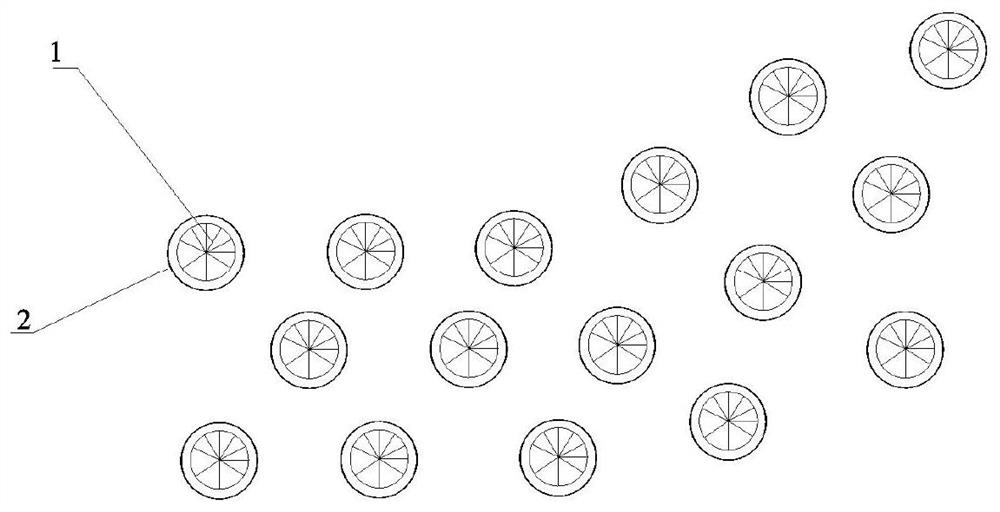 Configuration structure and construction method for lakeside wetland vegetation buffer strand