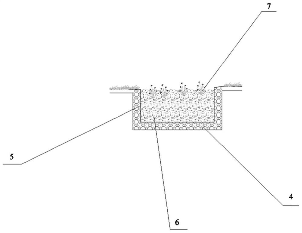 Configuration structure and construction method for lakeside wetland vegetation buffer strand