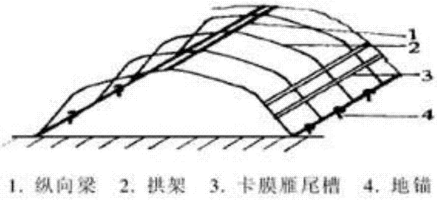 Breeding method of rhizoma bletillae seedlings