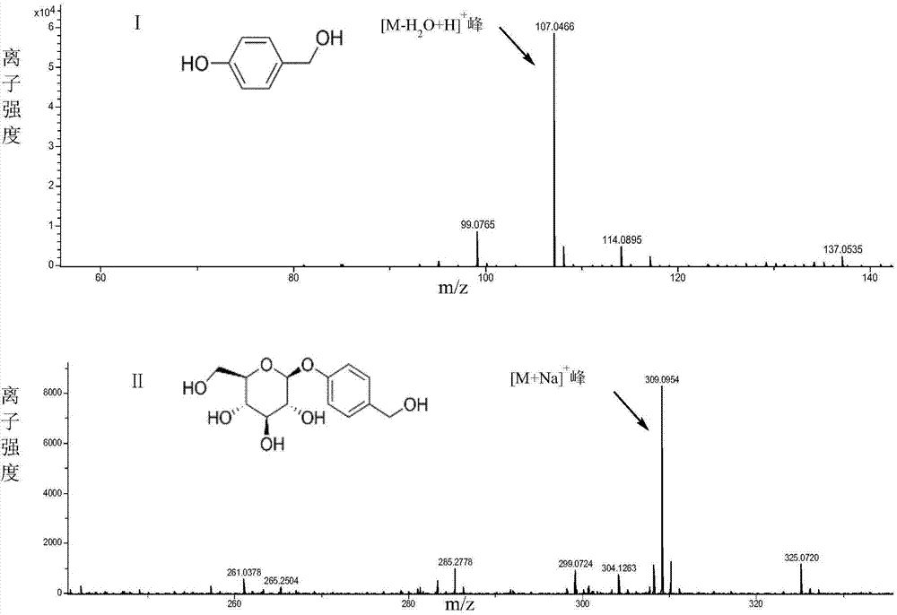 Glycosyl transferase synthesized by catalytic gastrodine as well as gene of encoding enzyme and application