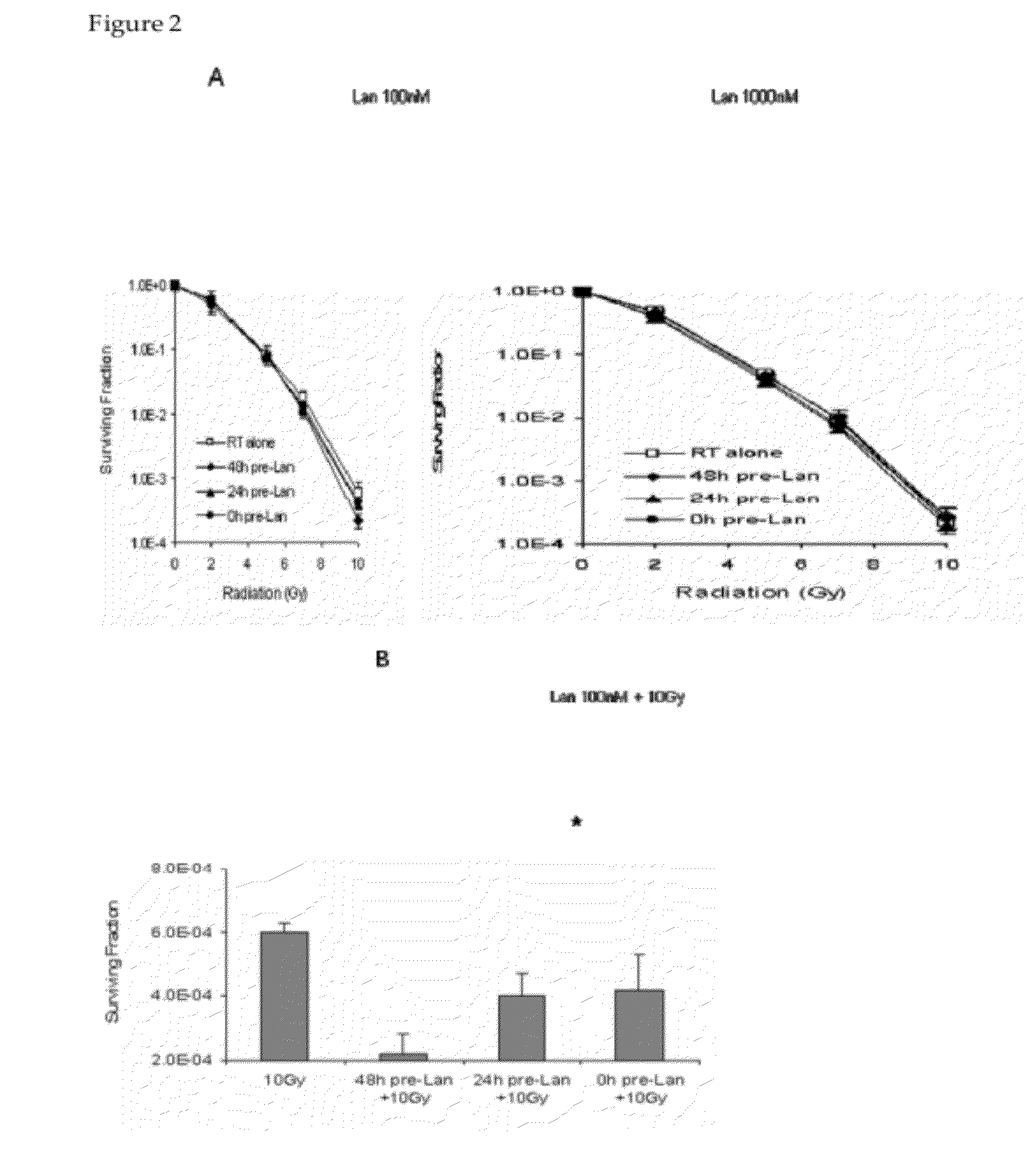 Use of somatostatin or an analogue thereof in combination with external radiation therapy