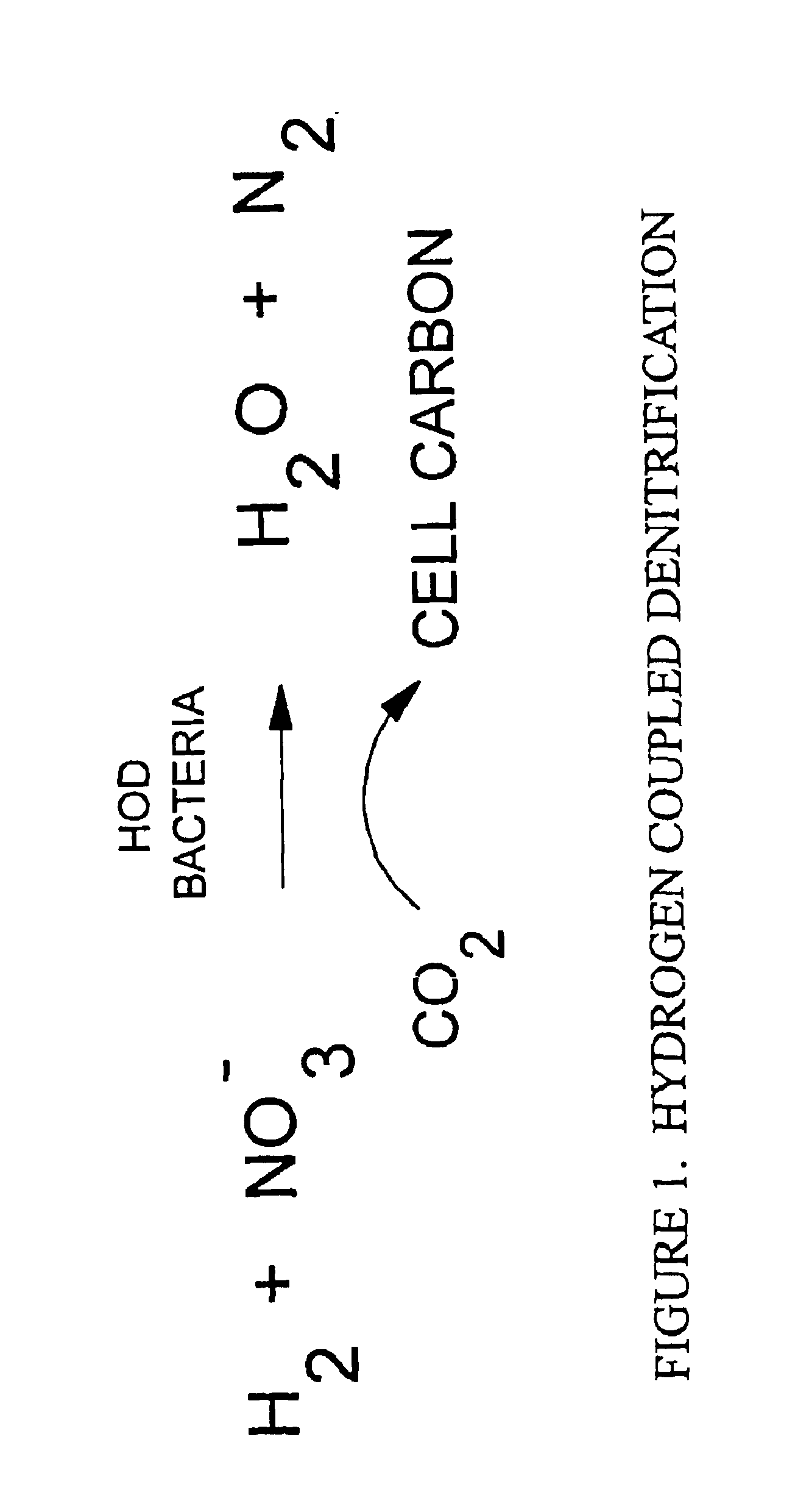 Small-scale hydrogen-oxidizing-denitrifying bioreactor