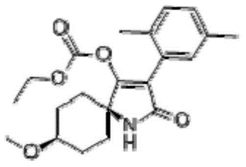 Composite insecticidal composition containing spinetoram and spirotetramat and application thereof