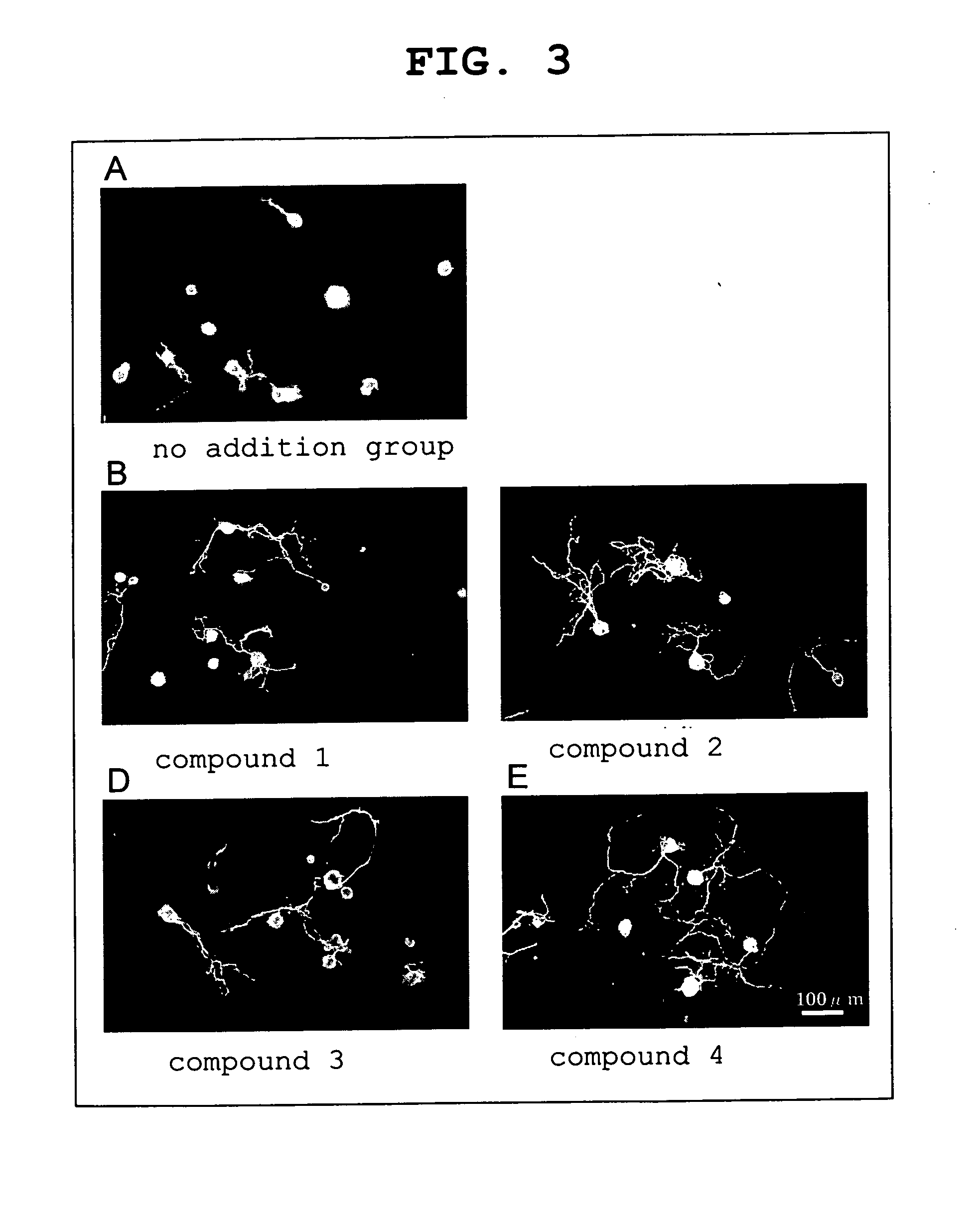 Agent for repairing corneal perception