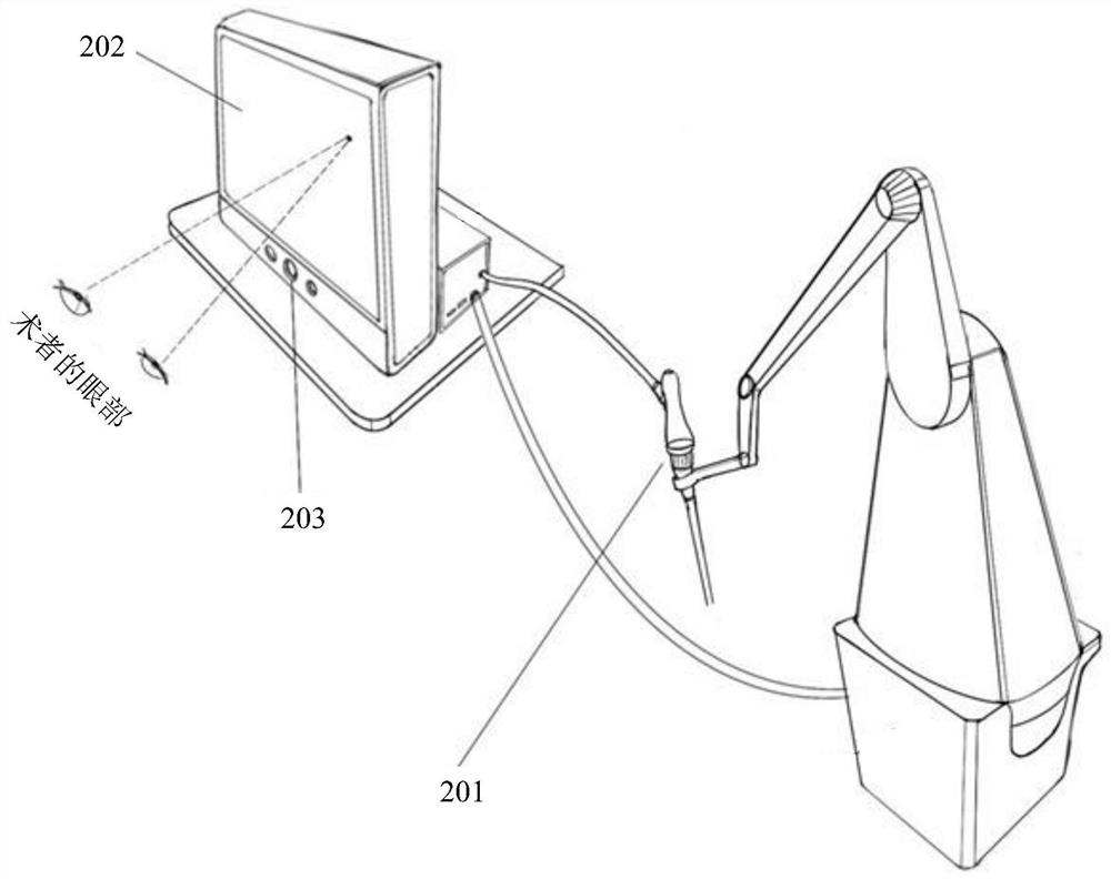 Orbital endoscope navigation operation training method and system, device and equipment