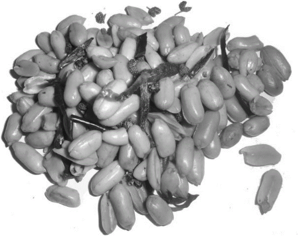 Processing technology of spicy peanuts