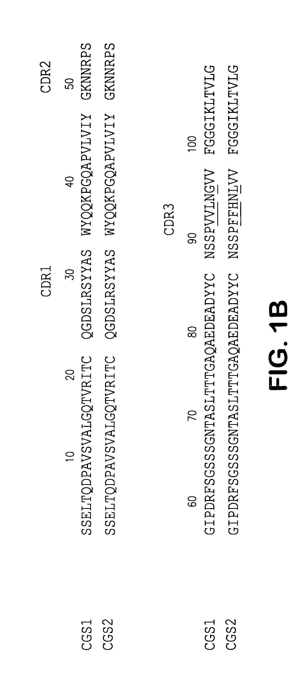 Antibodies to the ED-B domain of fibronectin, their construction and uses