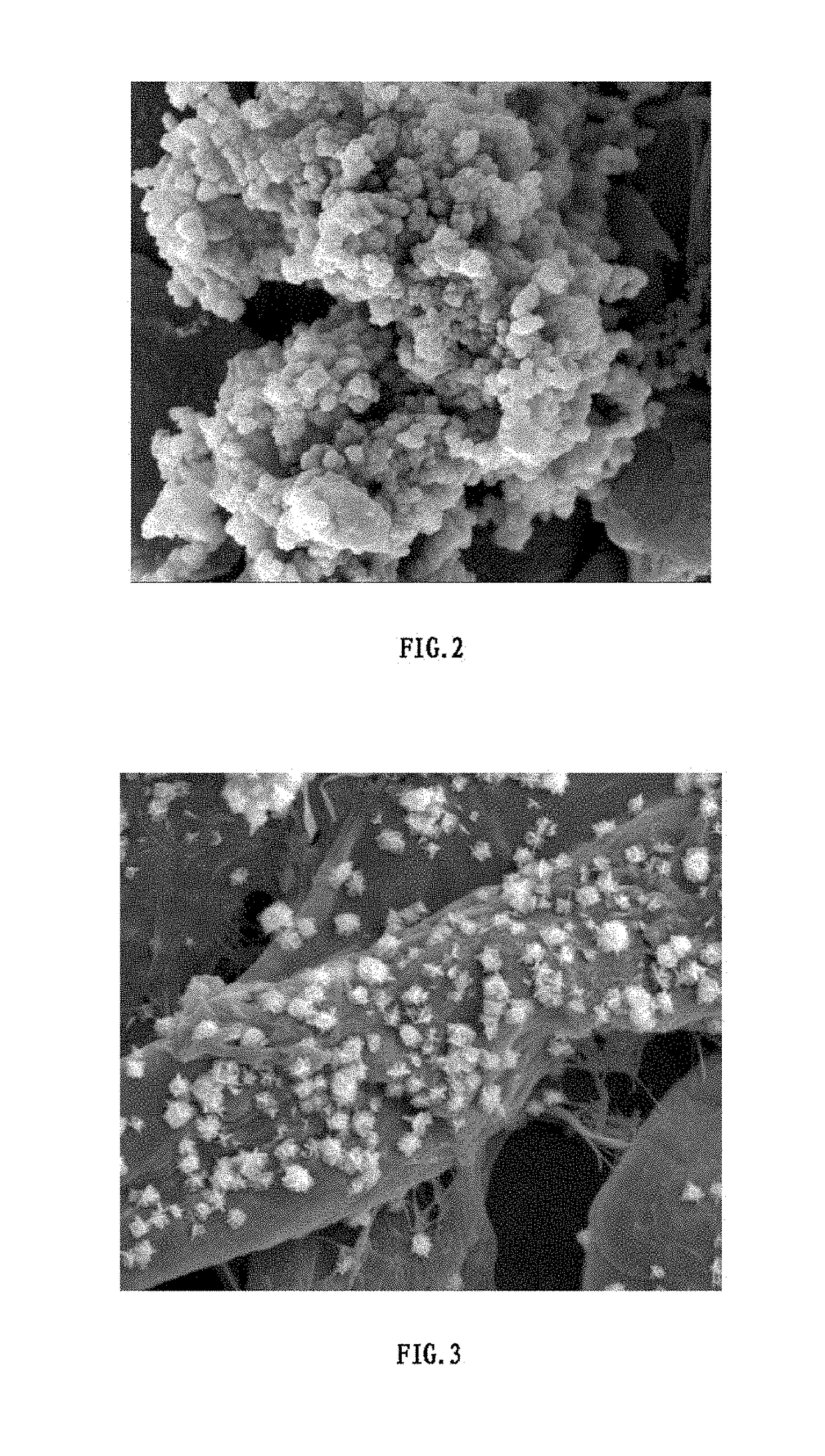 Nanomaterial-biomass fiber composite and preparation method thereof