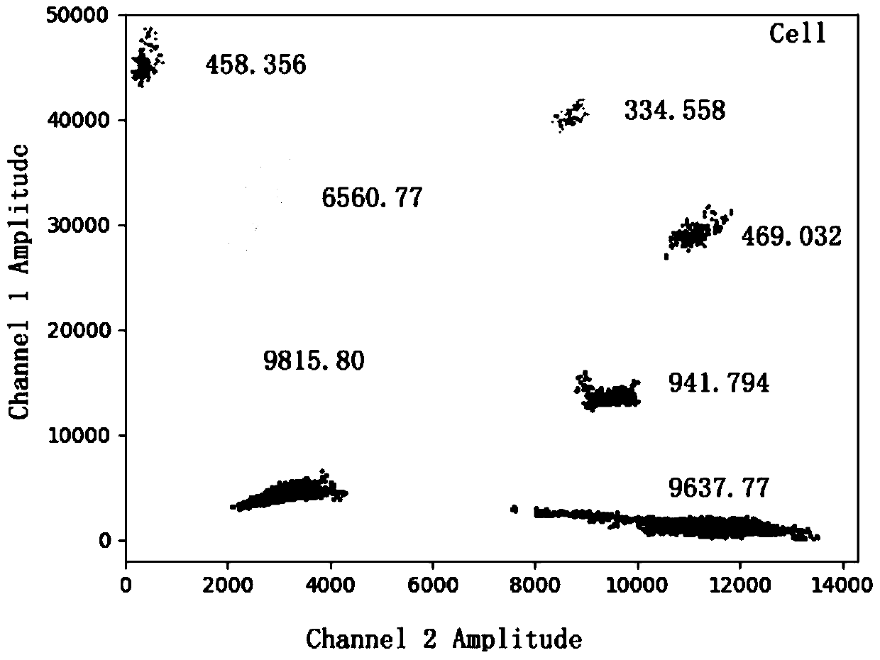 PCR detection system, kit and detection method for detecting vibrio parahaemolyticus