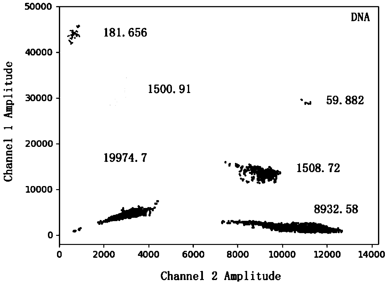 PCR detection system, kit and detection method for detecting vibrio parahaemolyticus