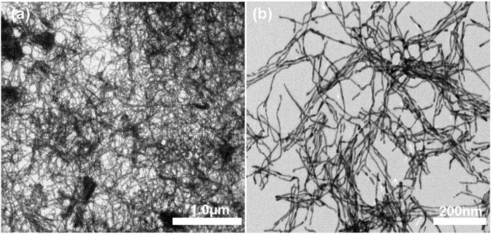 Preparation method of ultra-fine and ultra-long Au nanowire