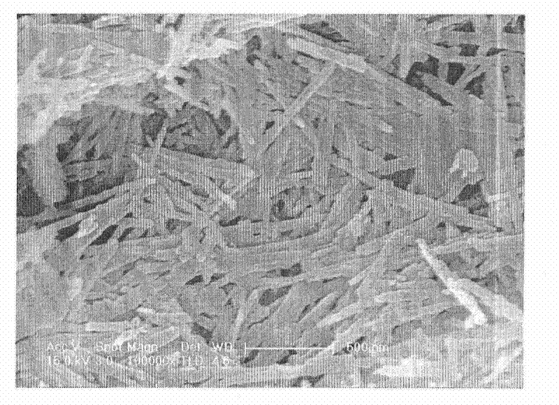 Attapulgite-based technique for in-situ remediation of heavy-metal contaminated soil