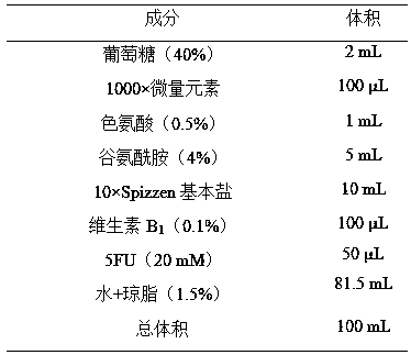 Glycerol kinase mutant gene glpK of Bacillus subtilis and application thereof