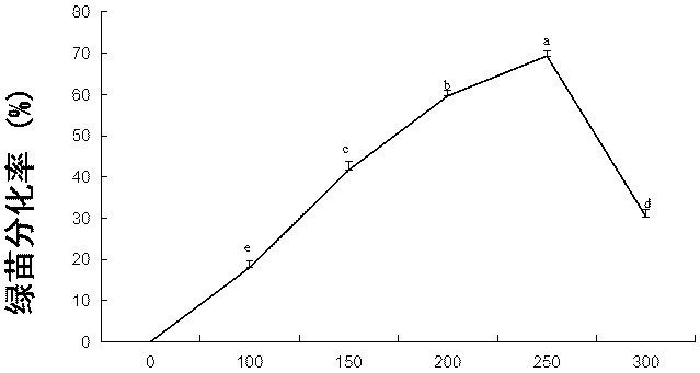 Method for genetic transformation of zoysia matrella mediated by agrobacterium tumefaciens