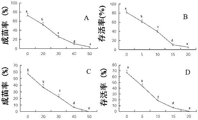 Method for genetic transformation of zoysia matrella mediated by agrobacterium tumefaciens