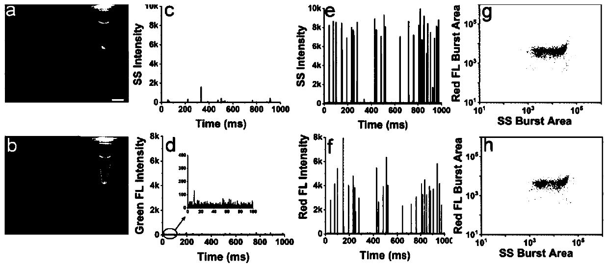 Method for quantitative detection of pathogenic bacteria and total bacterial count in edible raw egg