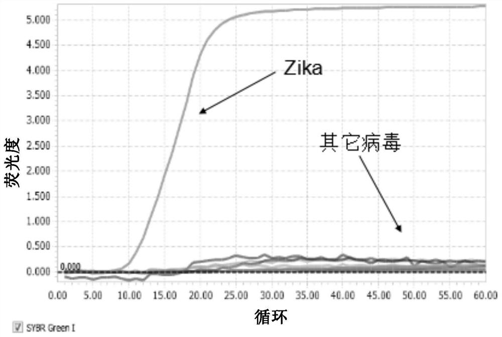 Zika virus detection kit based on loop-mediated isothermal amplification