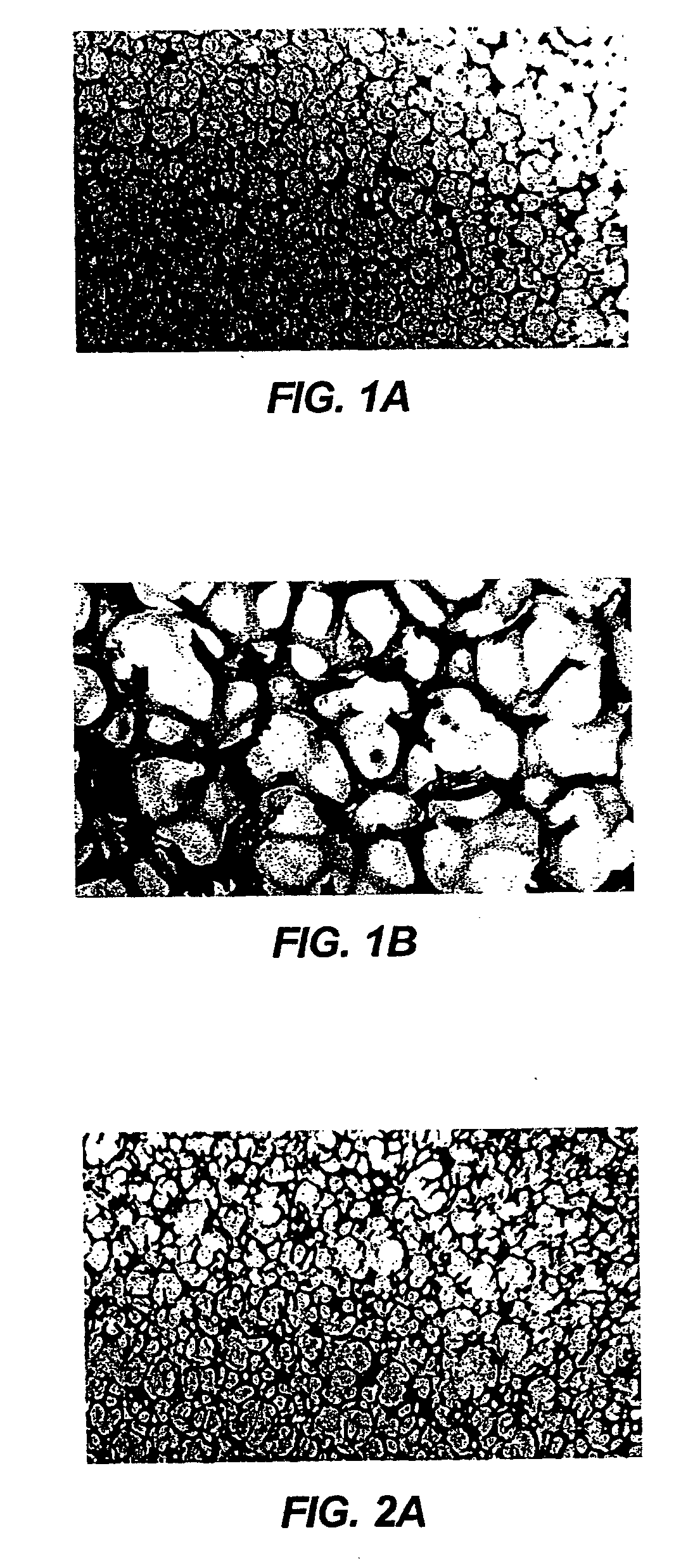 Reticulated material body support and method