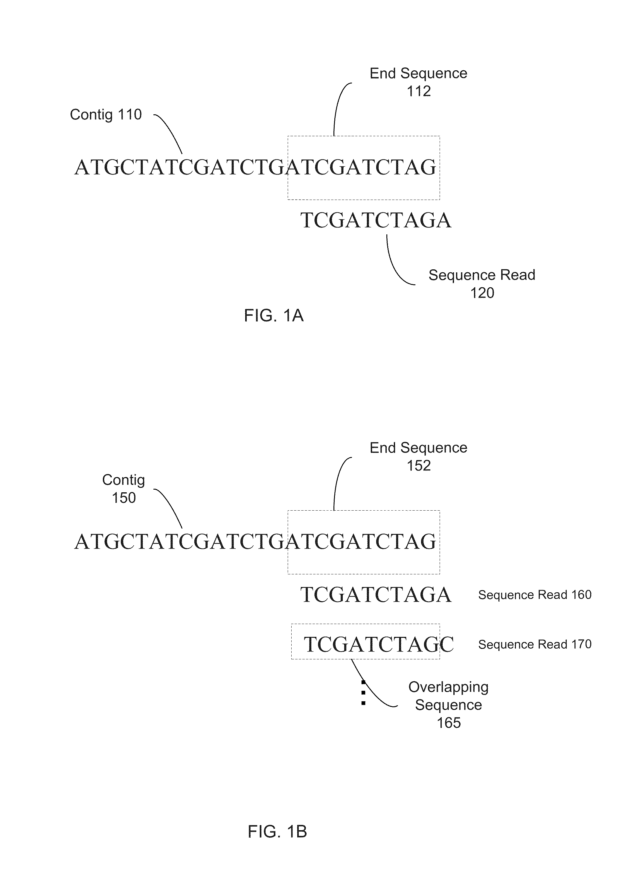 Long fragment de novo assembly using short reads