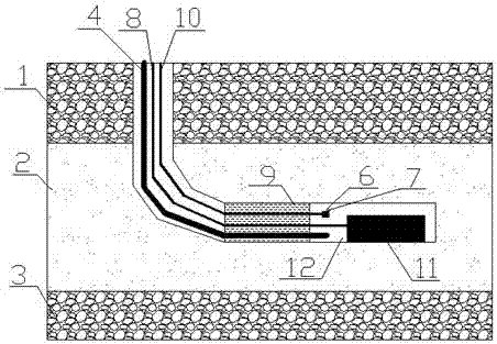 In-situ heating method of coal bed gas thermal exploitation