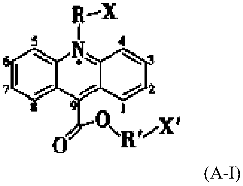 Kit for detecting anti-double-stranded DNA antibody, composition and application