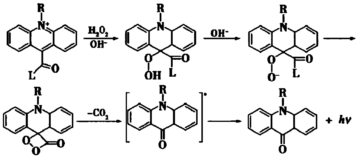 Kit for detecting anti-double-stranded DNA antibody, composition and application