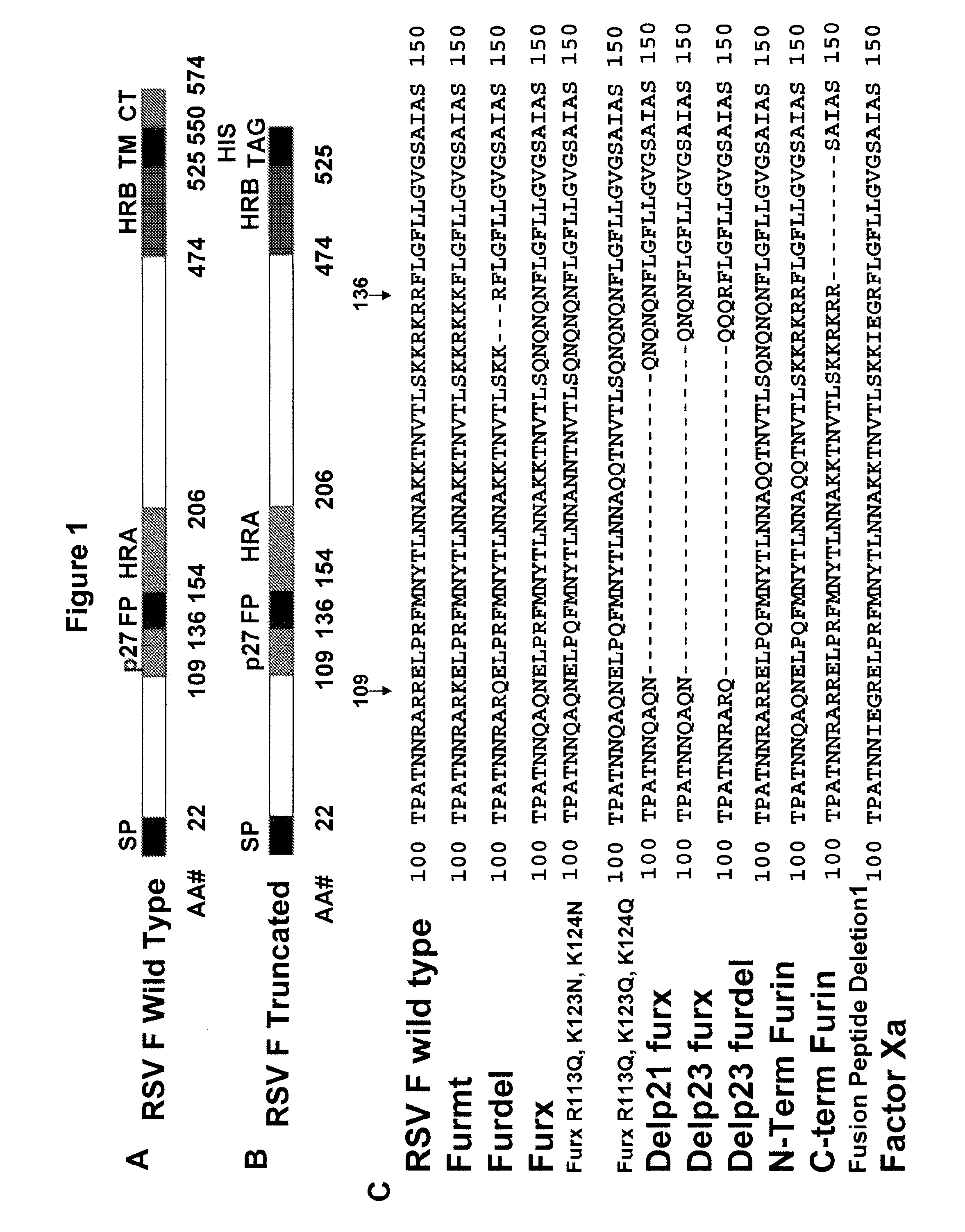 Rsv f protein compositions AMD methods for making same