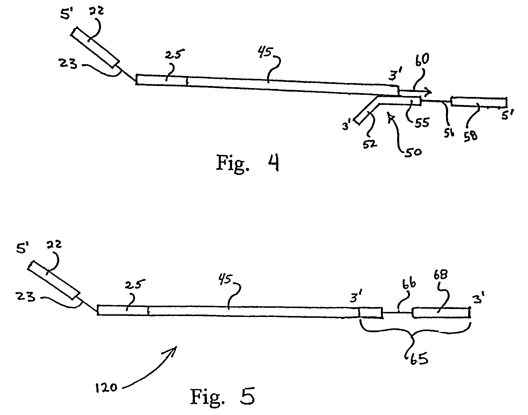 Engineered templates and their use in single primer amplification