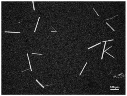 Gold phosphide nanosheets as well as controllable preparation method and application thereof